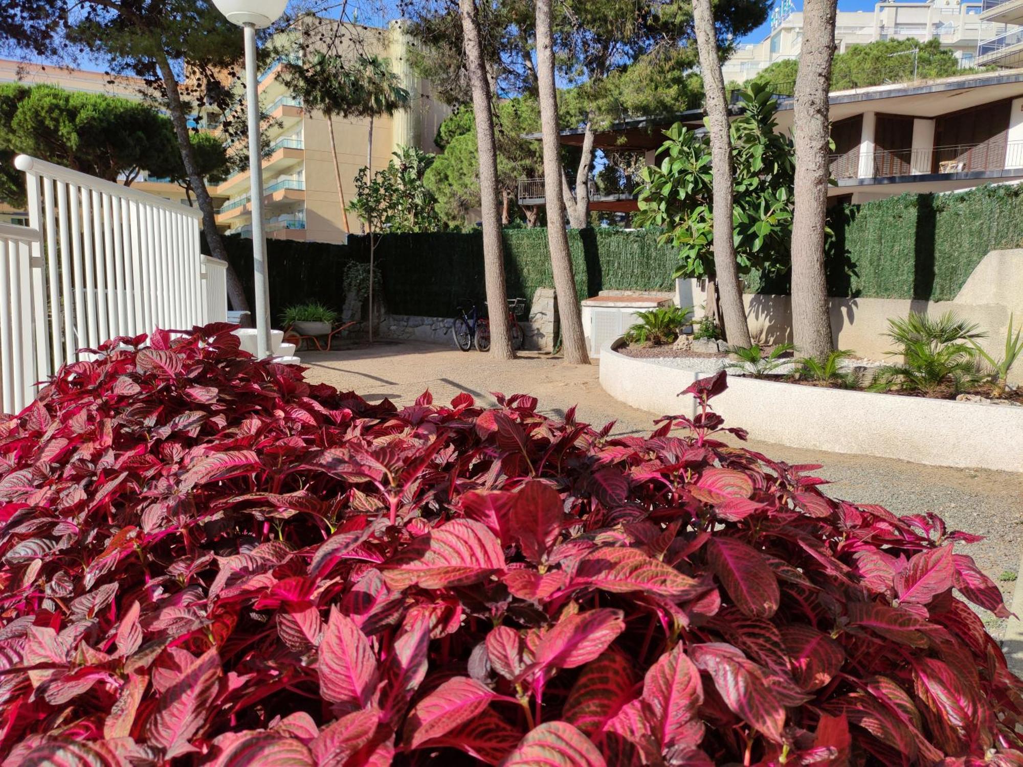 Paradis Salou, Centro Turistico, Wifi, Piscina, Vistas Al Mar Eksteriør bilde